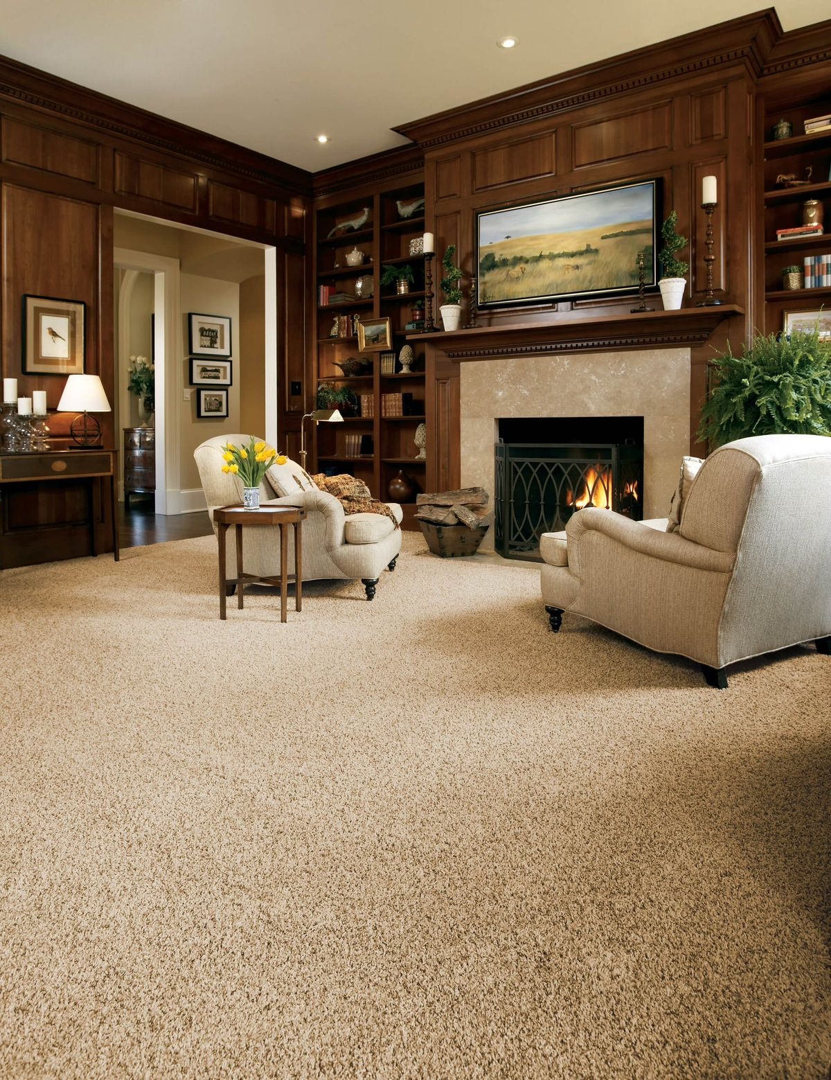 Carpet Cleaning